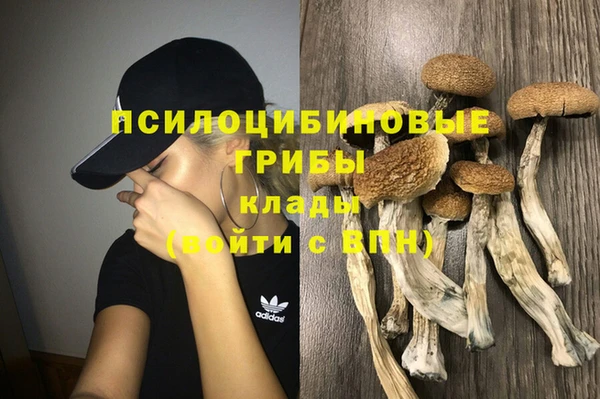spice Верхний Тагил