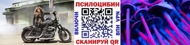 что такое наркотик  Новохопёрск  Псилоцибиновые грибы прущие грибы 